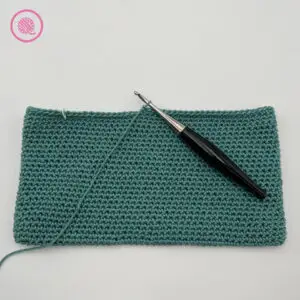 crochet the classic thick potholder